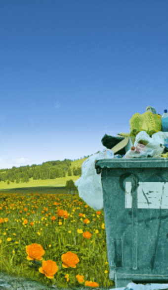 Poubelle débordant de déchets dans une jolie nature.