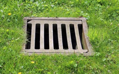 Lymphe et Système lymphatique : Quesaco